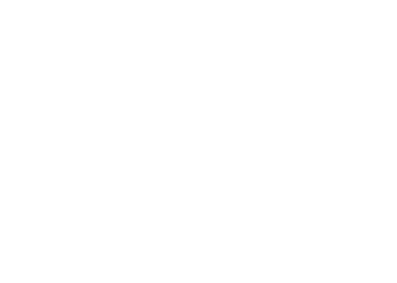Dainese